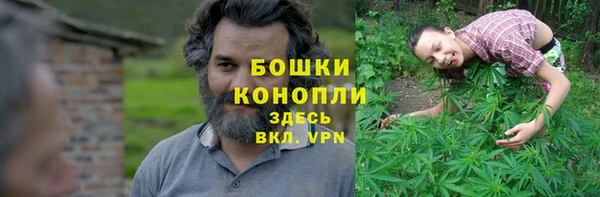 сатива Покровск
