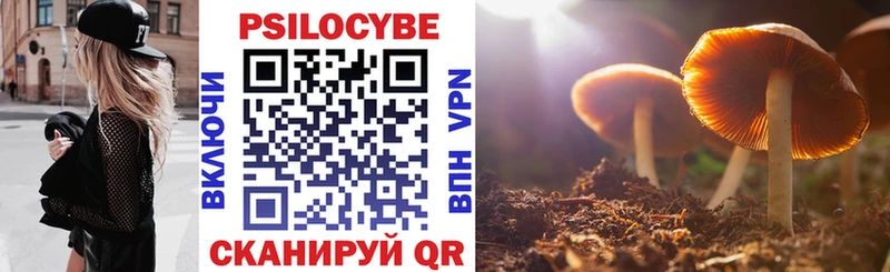 Галлюциногенные грибы мицелий  Стерлитамак 